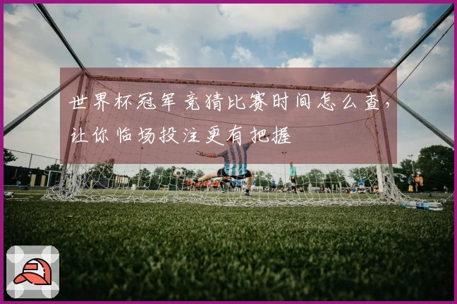 世界杯冠军竞猜比赛时间怎么查,让你临场投注更有把握