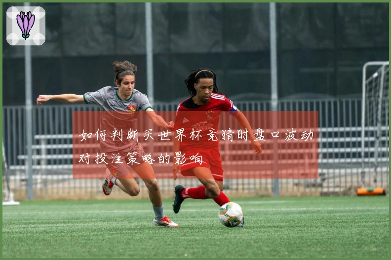 如何判断买世界杯竞猜时盘口波动对投注策略的影响