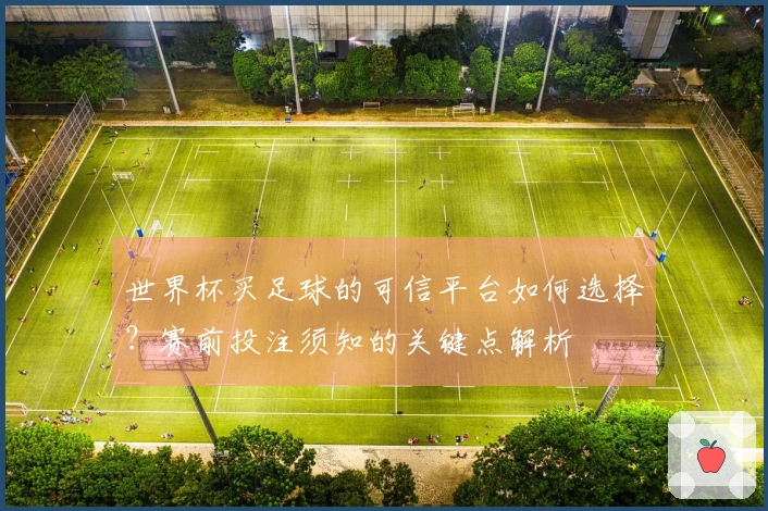 世界杯买足球的可信平台如何选择？赛前投注须知的关键点解析