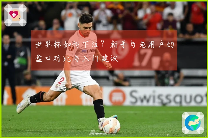 世界杯如何下注？新手与老用户的盘口对比与入门建议