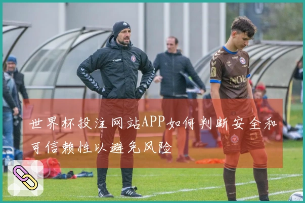 世界杯投注网站APP如何判断安全和可信赖性以避免风险
