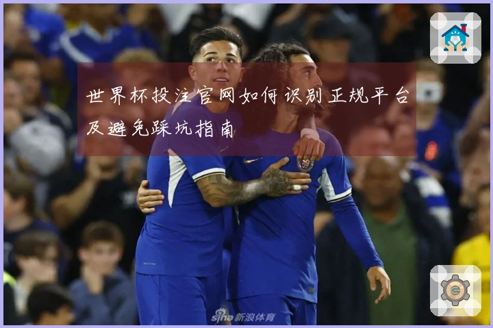 世界杯投注官网如何识别正规平台及避免踩坑指南