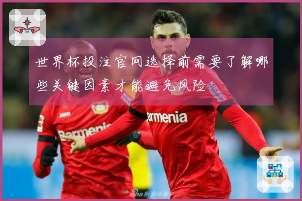 世界杯投注官网选择前需要了解哪些关键因素才能避免风险