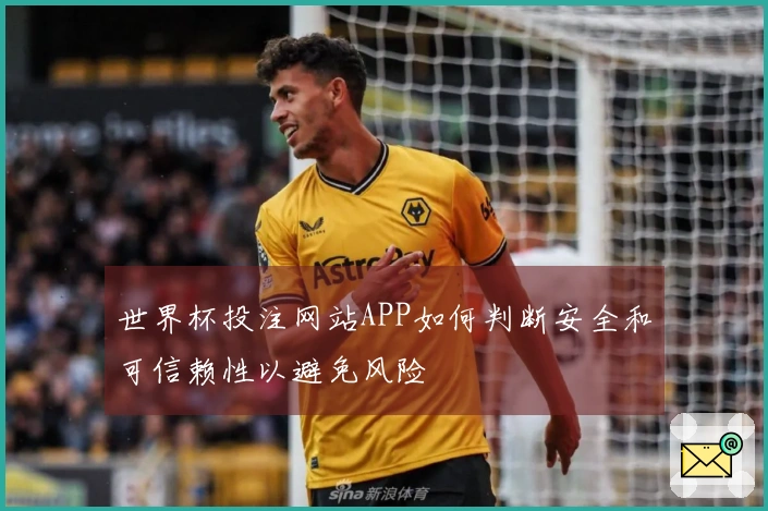 世界杯投注网站APP如何判断安全和可信赖性以避免风险