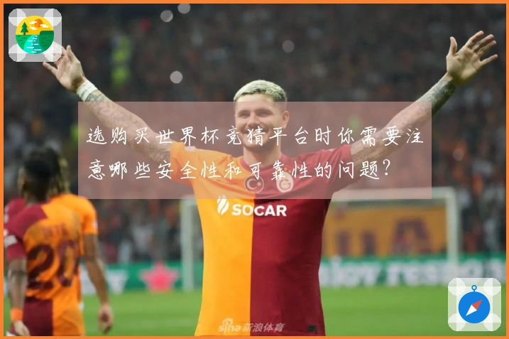 选购买世界杯竞猜平台时你需要注意哪些安全性和可靠性的问题？