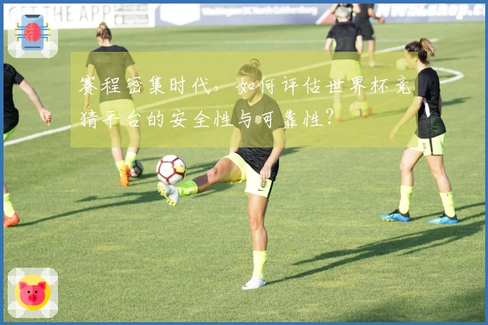 赛程密集时代，如何评估世界杯竞猜平台的安全性与可靠性？