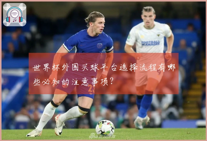 世界杯外围买球平台选择流程有哪些必知的注意事项？