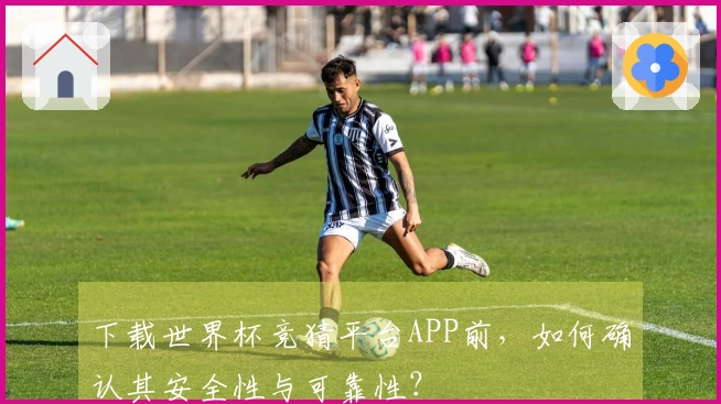 下载世界杯竞猜平台APP前，如何确认其安全性与可靠性？