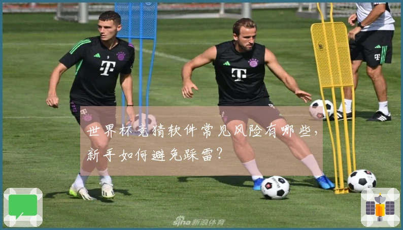 世界杯竞猜软件常见风险有哪些,新手如何避免踩雷?