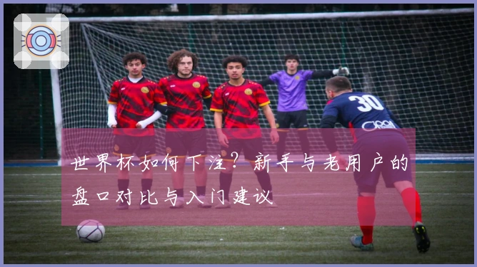 世界杯如何下注?新手与老用户的盘口对比与入门建议