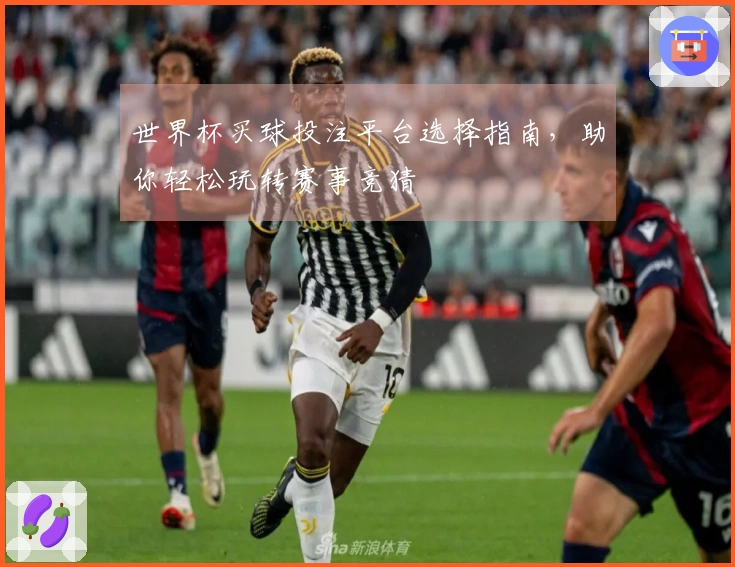 世界杯买球投注平台选择指南，助你轻松玩转赛事竞猜