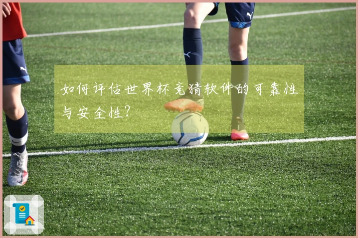 如何评估世界杯竞猜软件的可靠性与安全性?