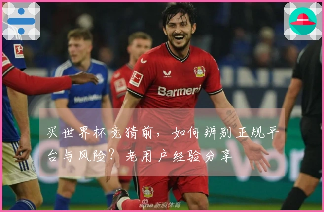 买世界杯竞猜前,如何辨别正规平台与风险?老用户经验分享