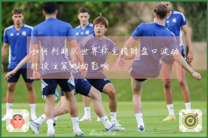 如何判断买世界杯竞猜时盘口波动对投注策略的影响