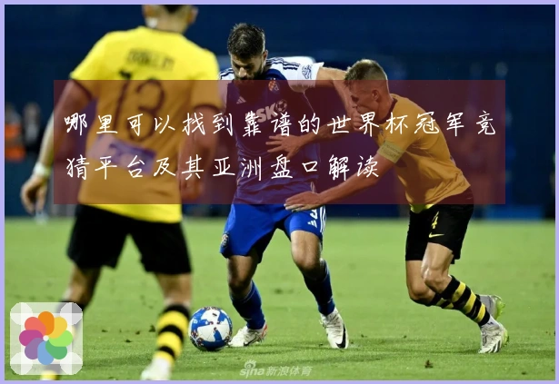 哪里可以找到靠谱的世界杯冠军竞猜平台及其亚洲盘口解读