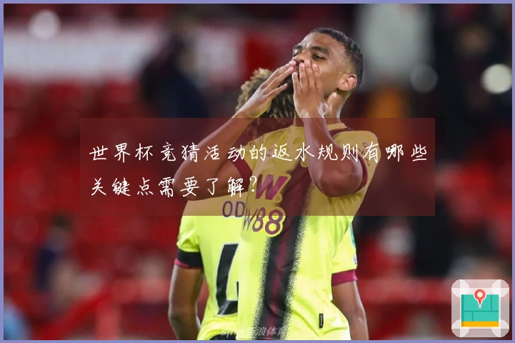 世界杯竞猜活动的返水规则有哪些关键点需要了解？