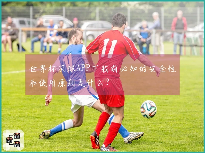 世界杯买球APP下载前必知的安全性和使用原则是什么？