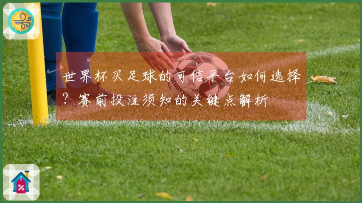 世界杯买足球的可信平台如何选择？赛前投注须知的关键点解析