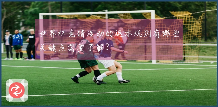 世界杯竞猜活动的返水规则有哪些关键点需要了解？