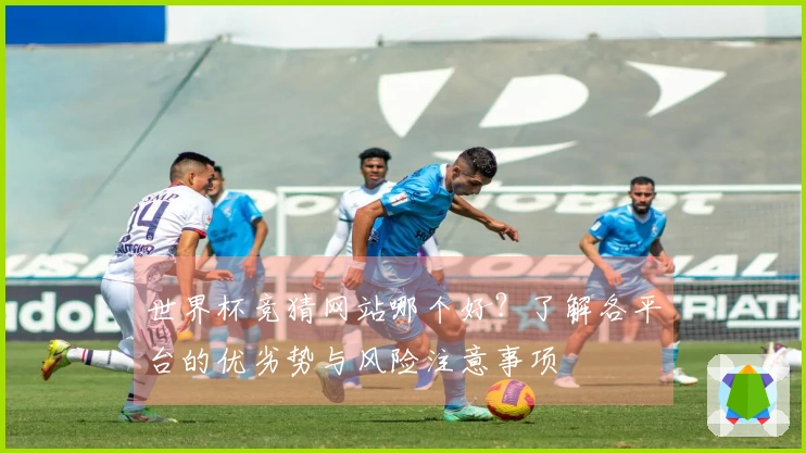 世界杯竞猜网站哪个好？了解各平台的优劣势与风险注意事项