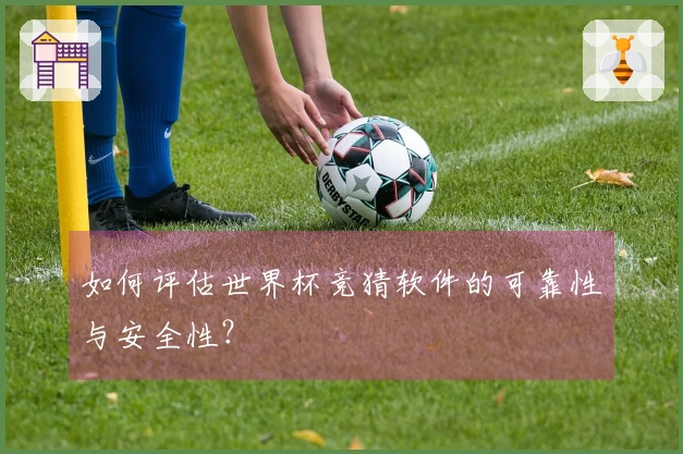 如何评估世界杯竞猜软件的可靠性与安全性？