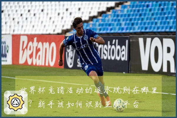世界杯竞猜活动的返水规则在哪里查？新手该如何识别正规平台