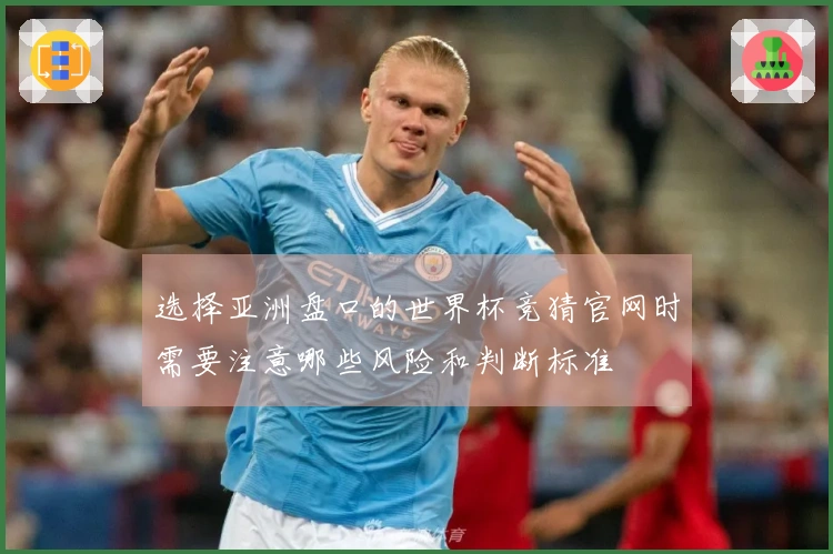 选择亚洲盘口的世界杯竞猜官网时需要注意哪些风险和判断标准