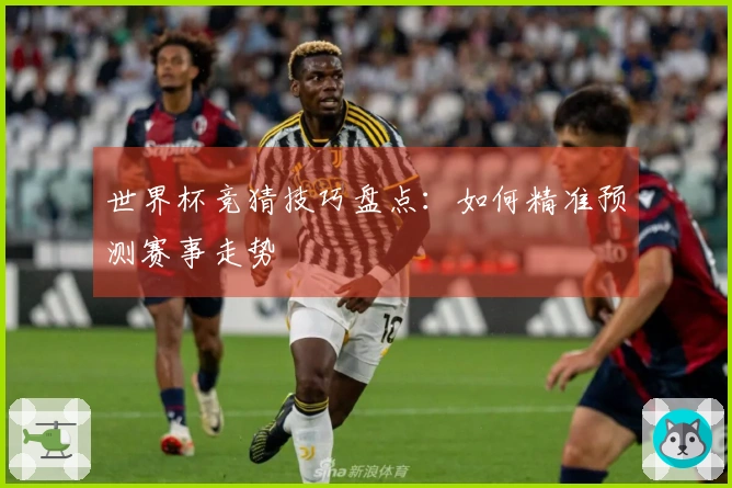 世界杯竞猜技巧盘点：如何精准预测赛事走势