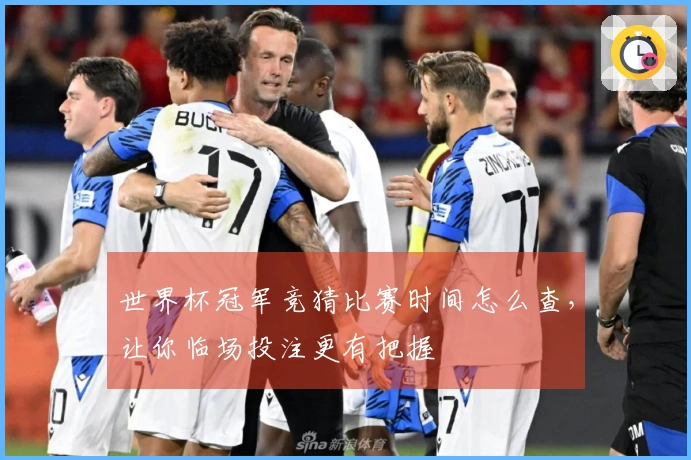 世界杯冠军竞猜比赛时间怎么查，让你临场投注更有把握