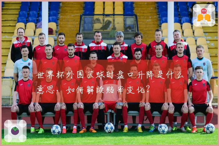 世界杯外围买球时盘口升降是什么意思,如何解读赔率变化?